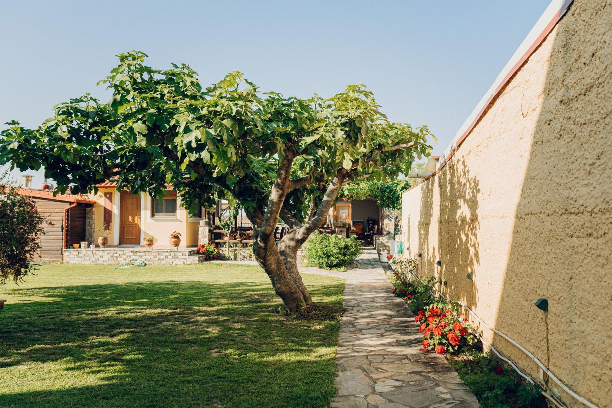 Villa Yianna Nea Mesangala Exterior foto
